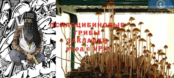 PSILOCYBIN Наволоки