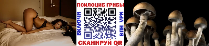 блэк спрут ссылка  наркошоп  Люберцы  Галлюциногенные грибы Psilocybine cubensis 