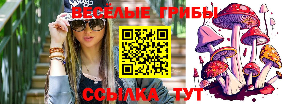 Галлюциногенные грибы GOLDEN TEACHER Люберцы